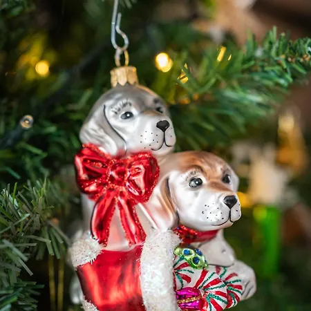 Lovely Rustic House Pr' Cut Žirovnica