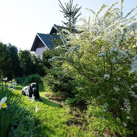 Apartman Lovely Rustic House Pr' Cut Žirovnica