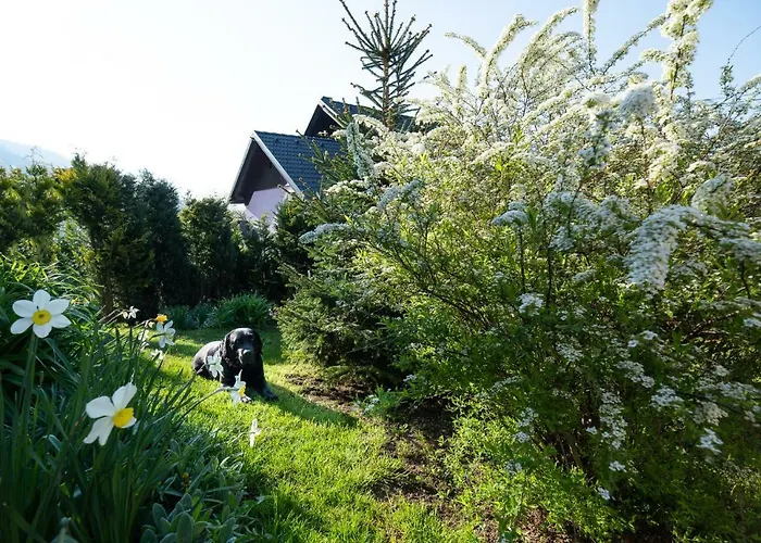 アパート Lovely Rustic House Pr' Cut ゴレンスカ地方